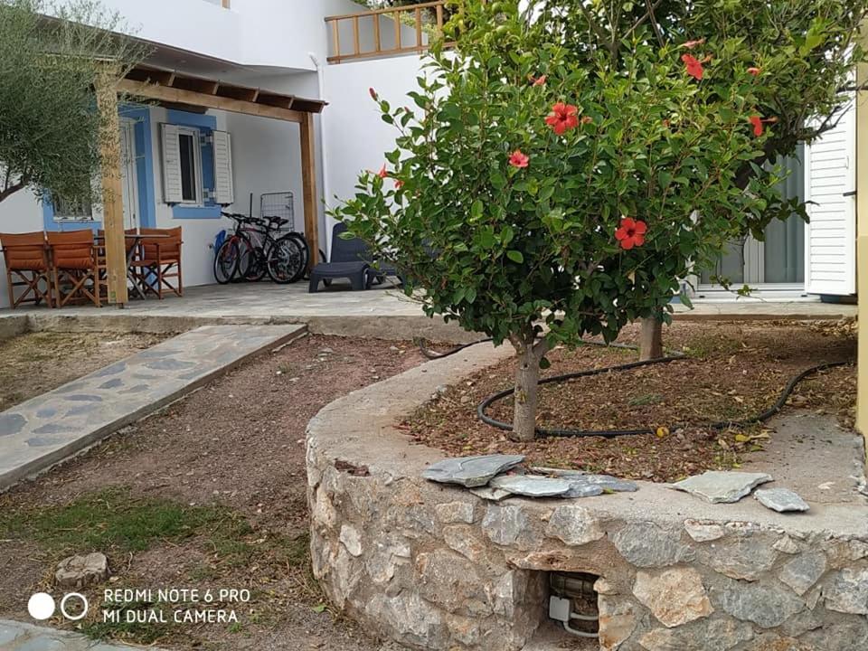 Alkioni Sea View Apartment Káto Zákros Екстериор снимка