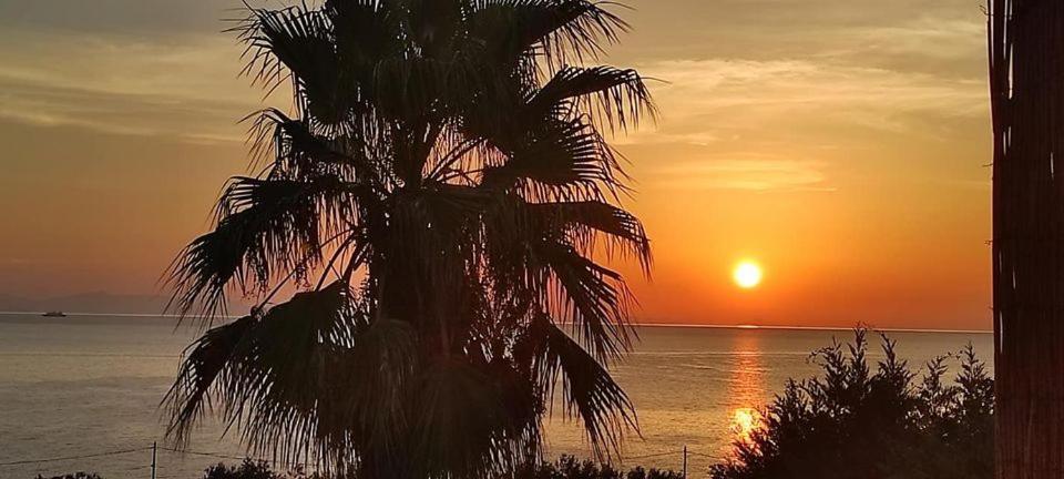 Alkioni Sea View Apartment Káto Zákros Екстериор снимка