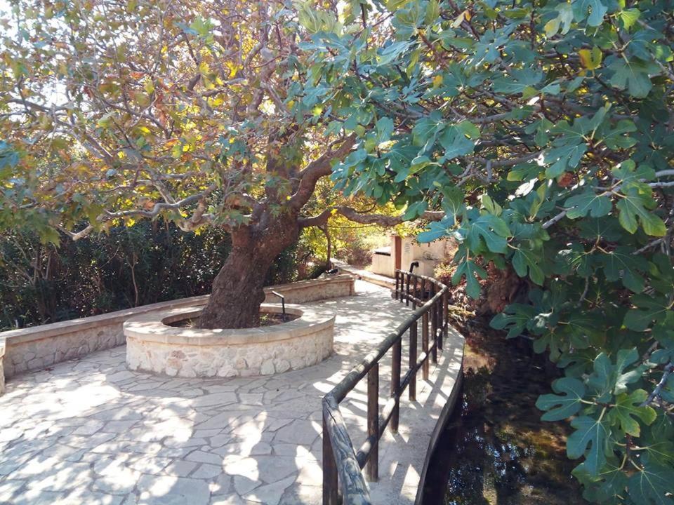 Alkioni Sea View Apartment Káto Zákros Екстериор снимка