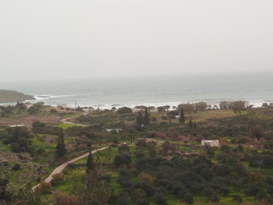 Alkioni Sea View Apartment Káto Zákros Екстериор снимка
