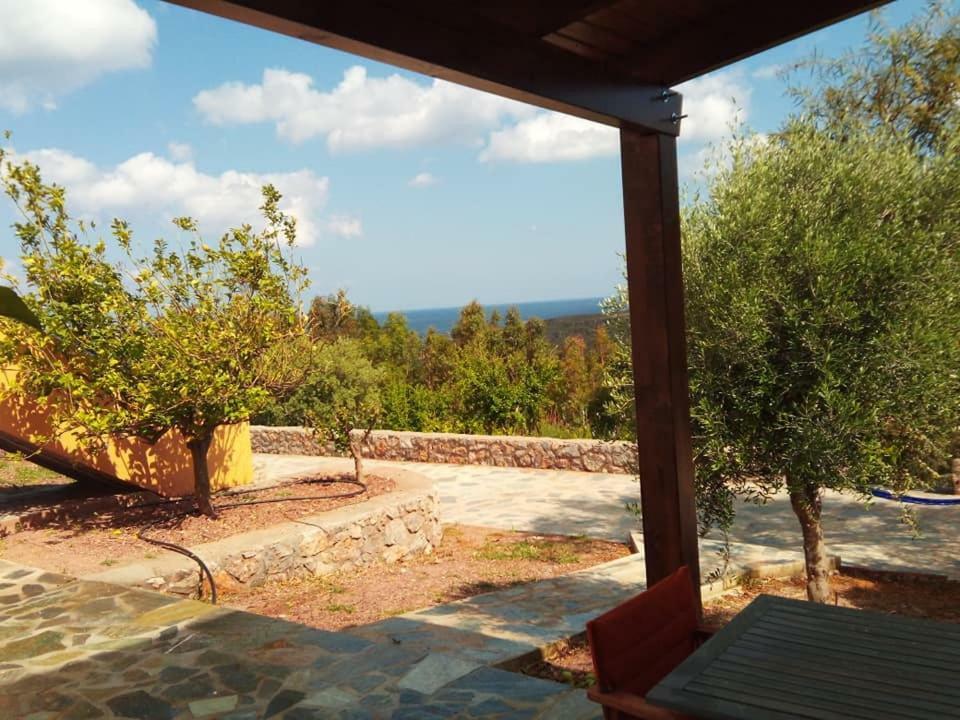 Alkioni Sea View Apartment Káto Zákros Екстериор снимка